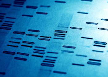Британские генетики получили разрешение на модификацию человеческих эмбрионов