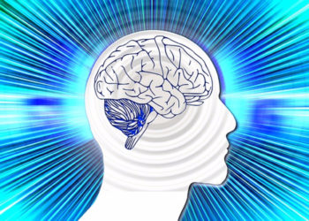 Alexa и Siri в голове: какая часть мозга человека отвечает за распознавание голоса