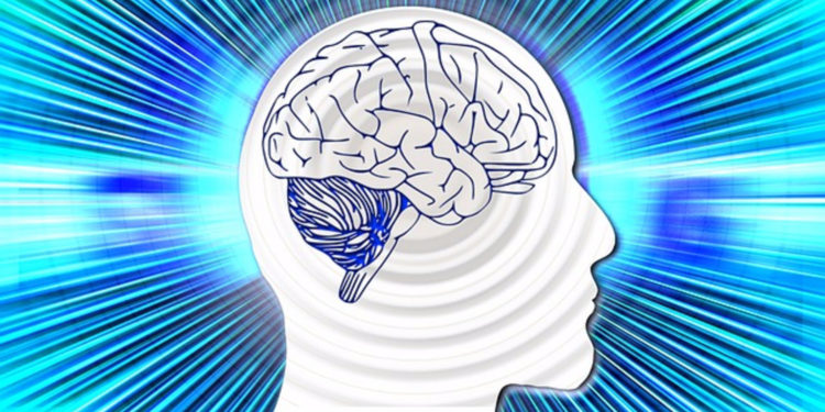 Alexa и Siri в голове: какая часть мозга человека отвечает за распознавание голоса