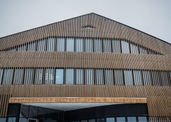 Сколтех создал программу для привлечения талантливых иностранных студентов в Россию — интервью