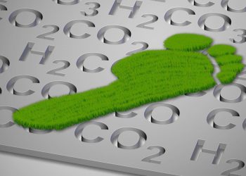 В Австралии предложили ввести квоты на детей, чтобы снизить выбросы парниковых газов