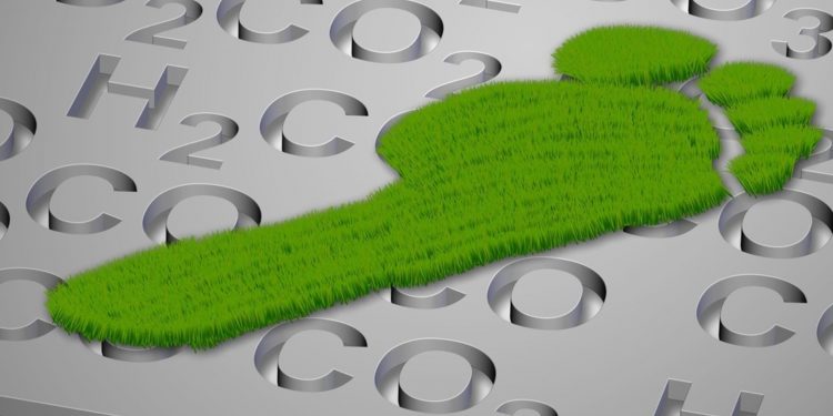 В Австралии предложили ввести квоты на детей, чтобы снизить выбросы парниковых газов