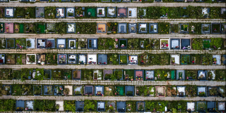 Кто владеет московскими кладбищами. Знаменитое расследование