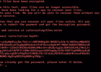 Вирус Diskcoder.D использовался при атаке на Украину