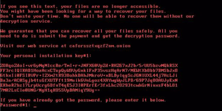 Вирус Diskcoder.D использовался при атаке на Украину