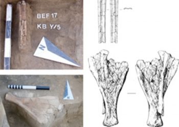 Археологи назвали барабинской новую культуру эпохи неолита на юге Западной Сибири
