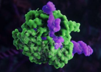 Студенты Сколтеха выиграли международный конкурс Communicator Awards за видеоролик CRISPR