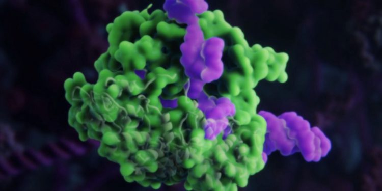 Студенты Сколтеха выиграли международный конкурс Communicator Awards за видеоролик CRISPR