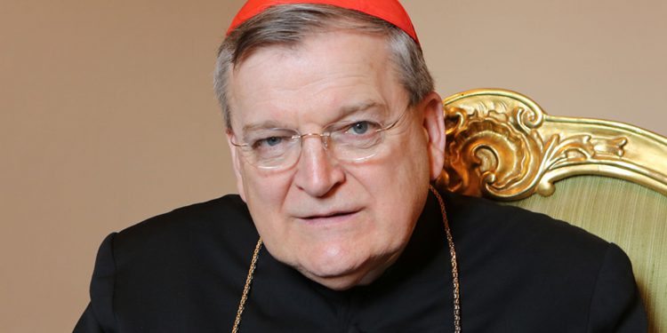 Кардинал Бёрк: упадок западной культуры — следствие ложного взгляда на сексуальность