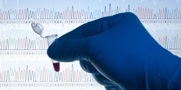 Великобритания сделала первый шаг к тому, чтобы разрешить «дизайнерских детей»