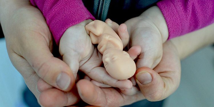 Штат Луизиана (США) запретил аборты