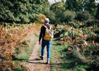 Политическая теория, путешествия и любовь к дому