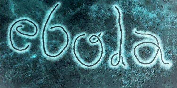 К концу года число заболевших Эбола может превысить полмиллиона