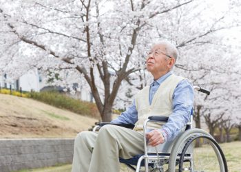 Население Японии продолжает уменьшаться, свидетельствует перепись