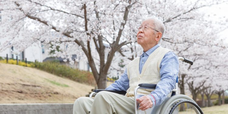 Население Японии продолжает уменьшаться, свидетельствует перепись