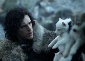 Из-за «Игры Престолов» Великобританию заполонили бездомные хаски