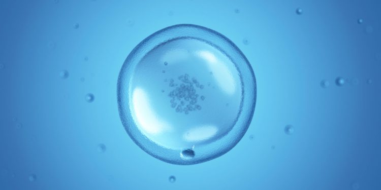 Apple и Facebook кладут свои яйцеклетки не в тот морозильник