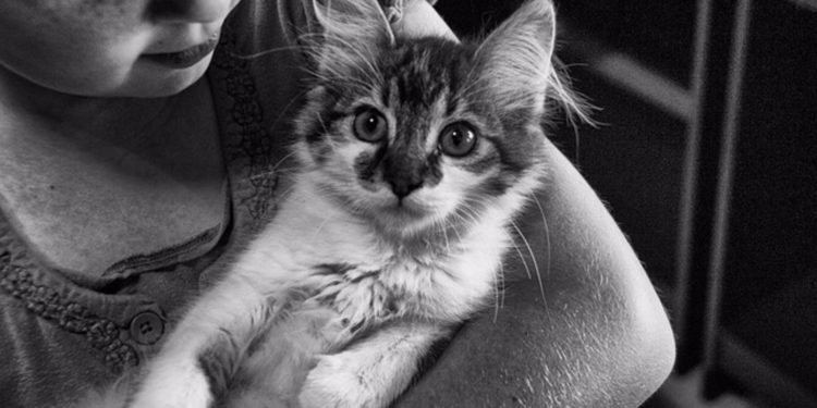 Пять способов, как животные могут научить детей доброте