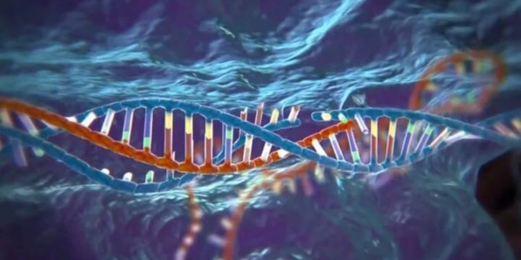 Медицинскую технологию будущего совместно развивают Сколтех и институты США