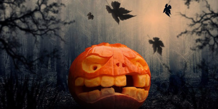 Наука о страхе: почему мы любим, когда нас пугают