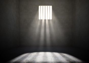 В ЛДПР предложили лишать свободы за пропаганду педофилии