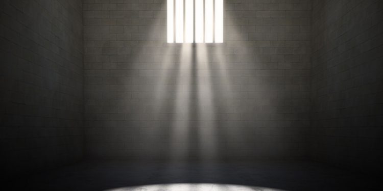 В ЛДПР предложили лишать свободы за пропаганду педофилии