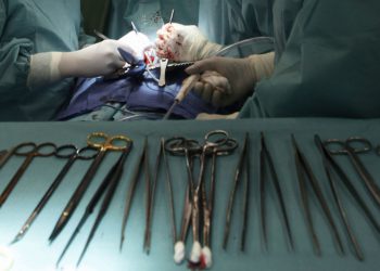 Что общего между абортами и торговлей органами?