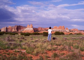 Гений и бродяга (Ragamuffin, 2014)