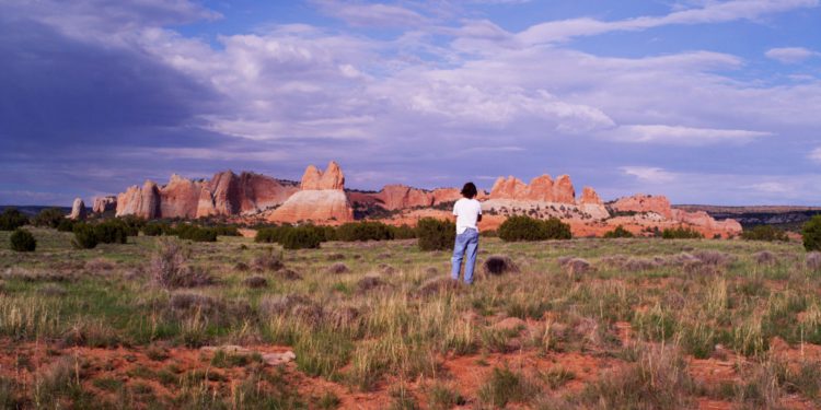 Гений и бродяга (Ragamuffin, 2014)