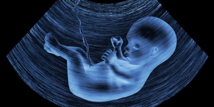 Грех или нет? Что основные религии могут сказать об аборте.