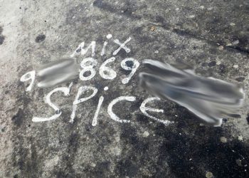 Для борьбы с граффити-рекламой наркотиков создадут мобильное приложение