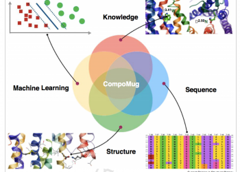 Международная группа ученых разработала точный метод вычисления для создания новых лекарств