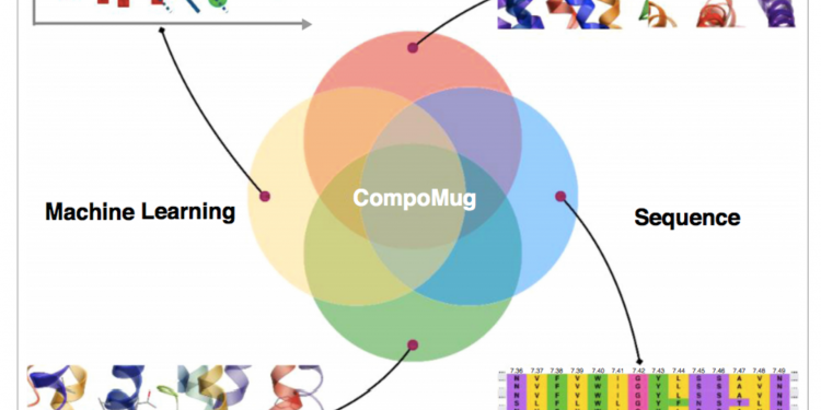 Международная группа ученых разработала точный метод вычисления для создания новых лекарств