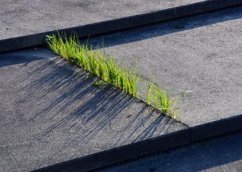 Шесть хороших привычек амбициозных людей