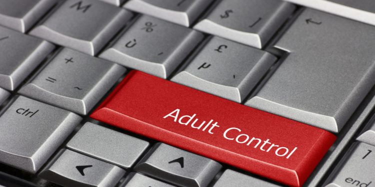 Лига безопасного интернета предлагает ввести тотальную фильтрацию контента