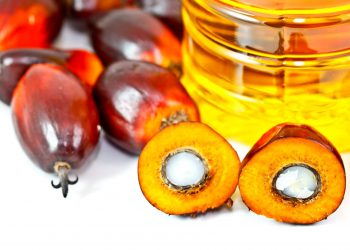 Пять главных мифов о пальмовом масле