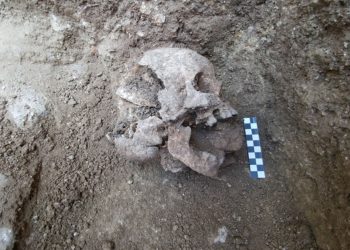Захоронение ребенка — «вампира» обнаружили археологи в Италии