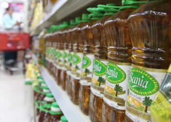 Индонезийский президент Видодо обсудит с Путиным поставки пальмового масла 