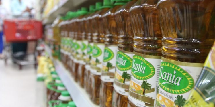 Индонезийский президент Видодо обсудит с Путиным поставки пальмового масла 