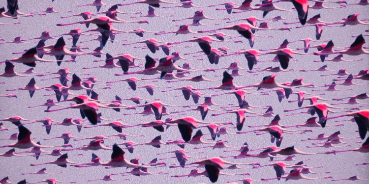 Неминуемо надвигающийся конец (Deftones – Gore, 2016)