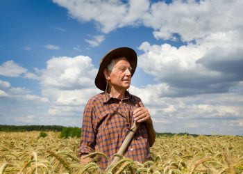 Эксперты: население Земли стареет, работать будет некому