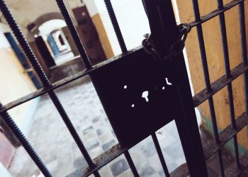 Осуждённых педофилов в РФ перестанут освобождать досрочно