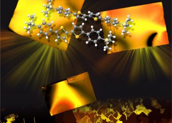 Российские ученые приблизились к созданию гибкой электроники