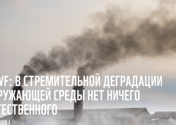 Специалистам по животному миру Земли не помешало бы подучить арифметику и биологию — мнение