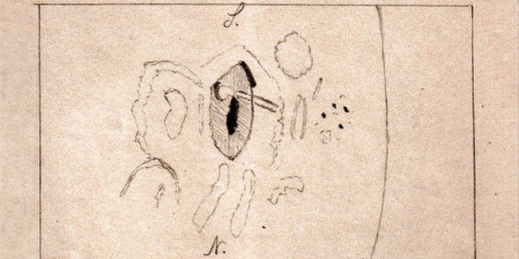 Найдены уникальные данные о произошедшей более 130 лет назад мощной вспышке на Солнце