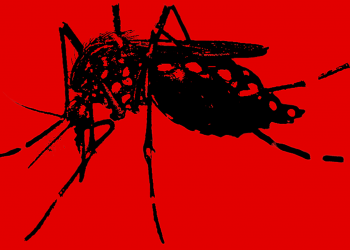 Исследование NECSI разрушило миф о детях-микроцефалах у женщин, больных Зика