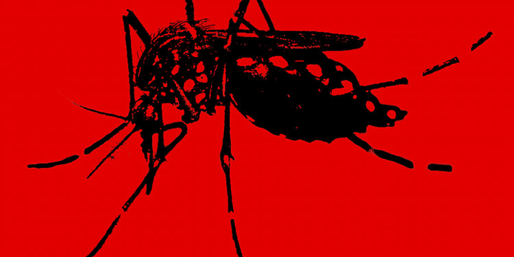 Исследование NECSI разрушило миф о детях-микроцефалах у женщин, больных Зика