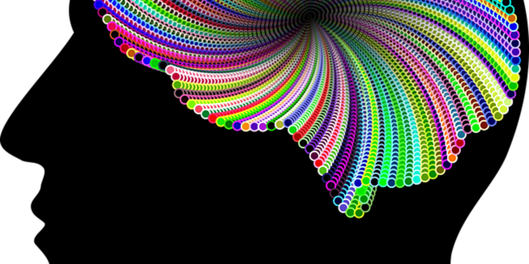 Ученые из России и Германии создали искуссственный интеллект для разработки новых лекарств