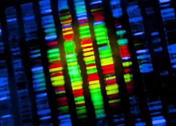 Весь в папу: Стало ясно, почему отцовская ДНК важнее материнской