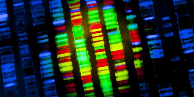 Весь в папу: Стало ясно, почему отцовская ДНК важнее материнской